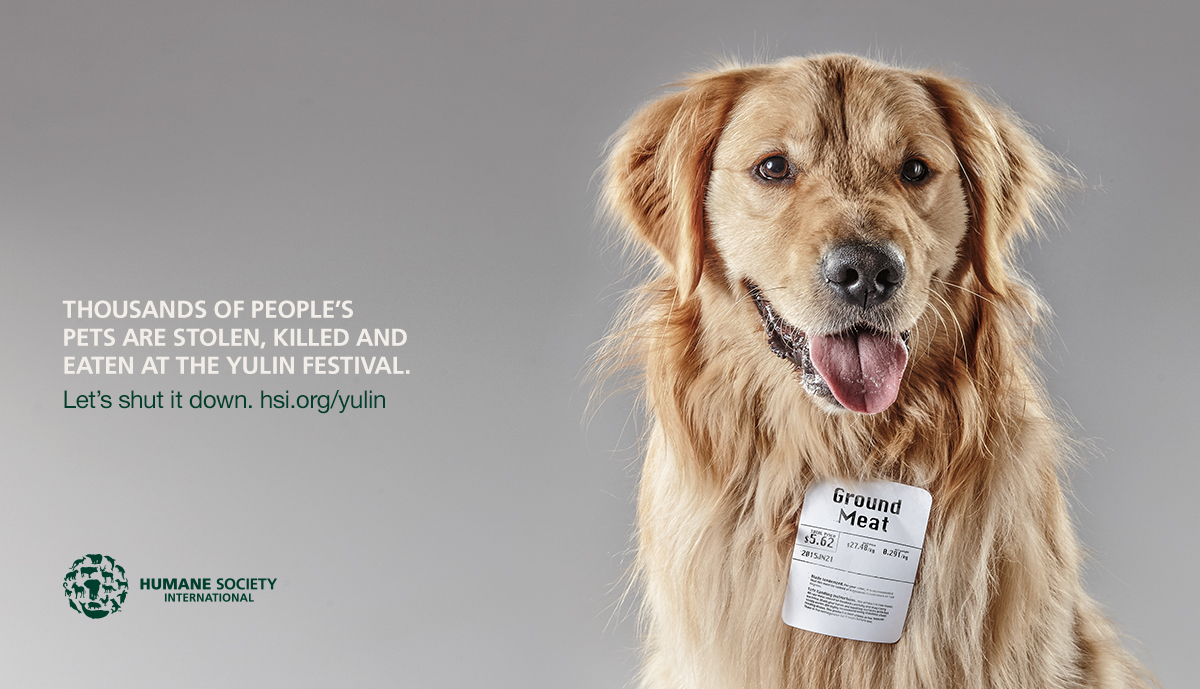 humane_society_ad-jasper