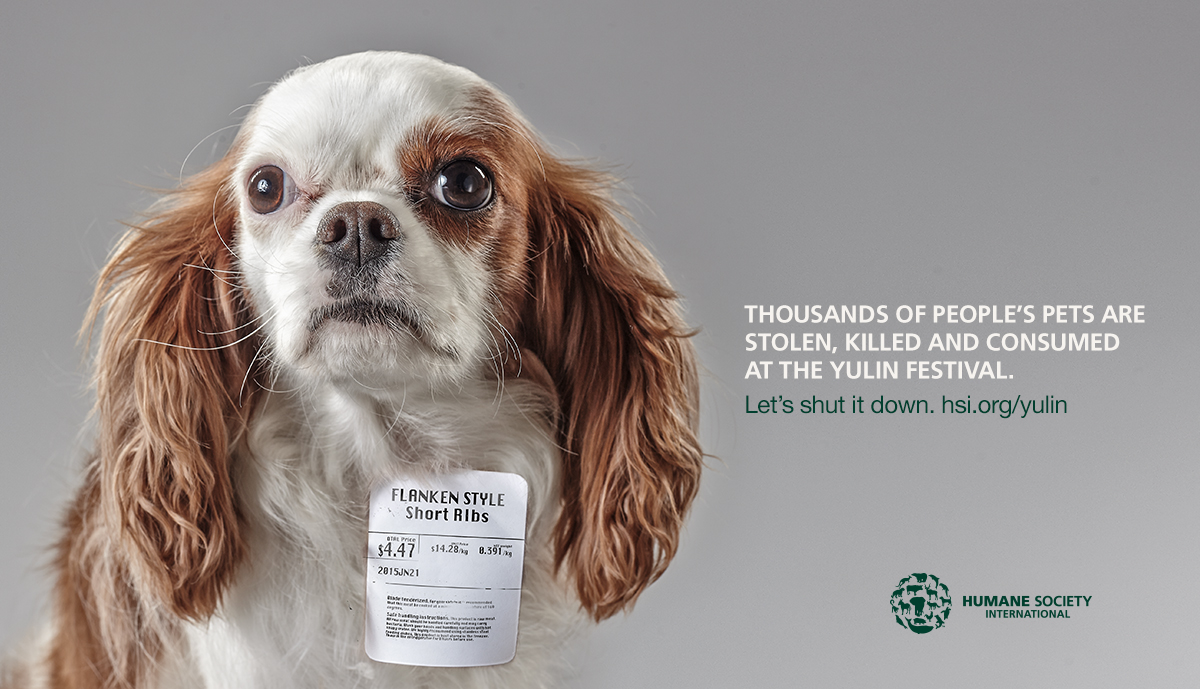 humane_society_ad-patch