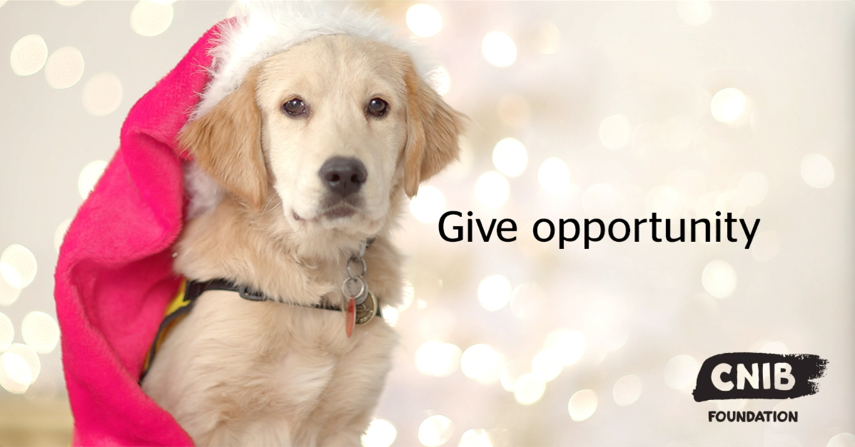 CNIB’s year end 2018